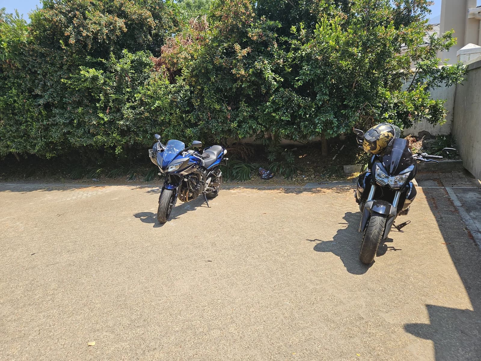 Rider Life lookbook cover